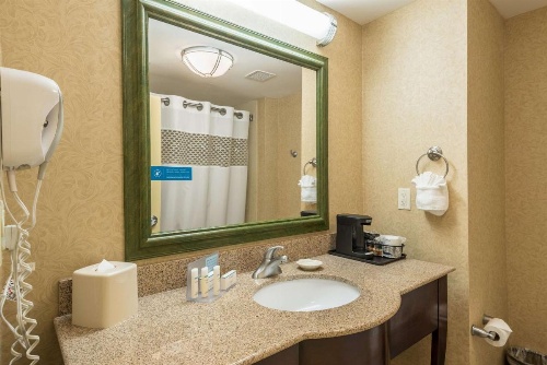 Hampton Inn By Hilton & Suites Orlando-South Lake Buena Vista image 22