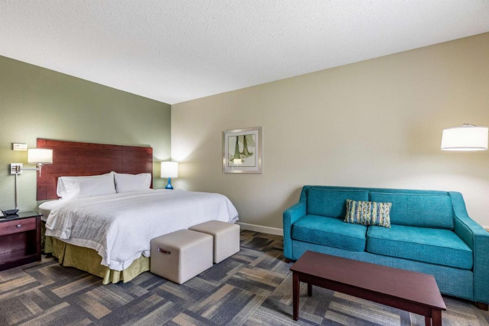 Hampton Inn By Hilton & Suites Orlando-South Lake Buena Vista Image 41