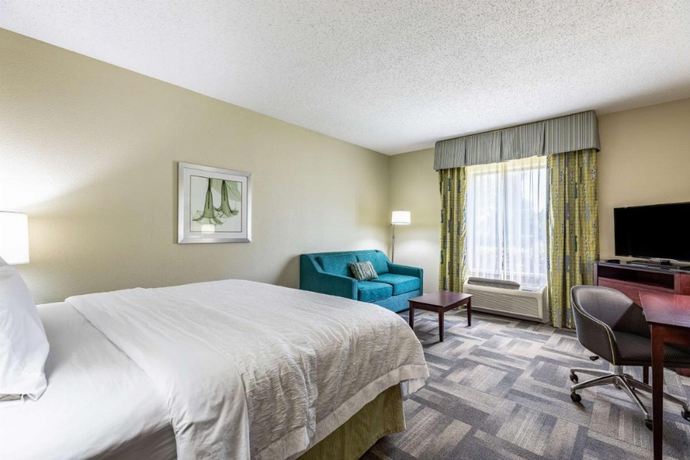 Hampton Inn By Hilton & Suites Orlando-South Lake Buena Vista Image 42
