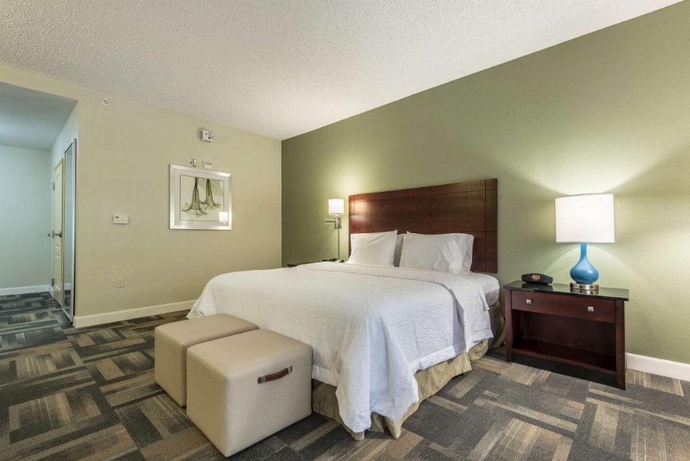 Hampton Inn By Hilton & Suites Orlando-South Lake Buena Vista Image 6