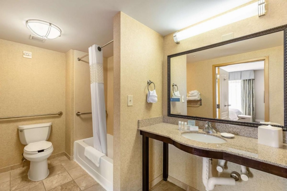 Hampton Inn By Hilton & Suites Orlando-South Lake Buena Vista